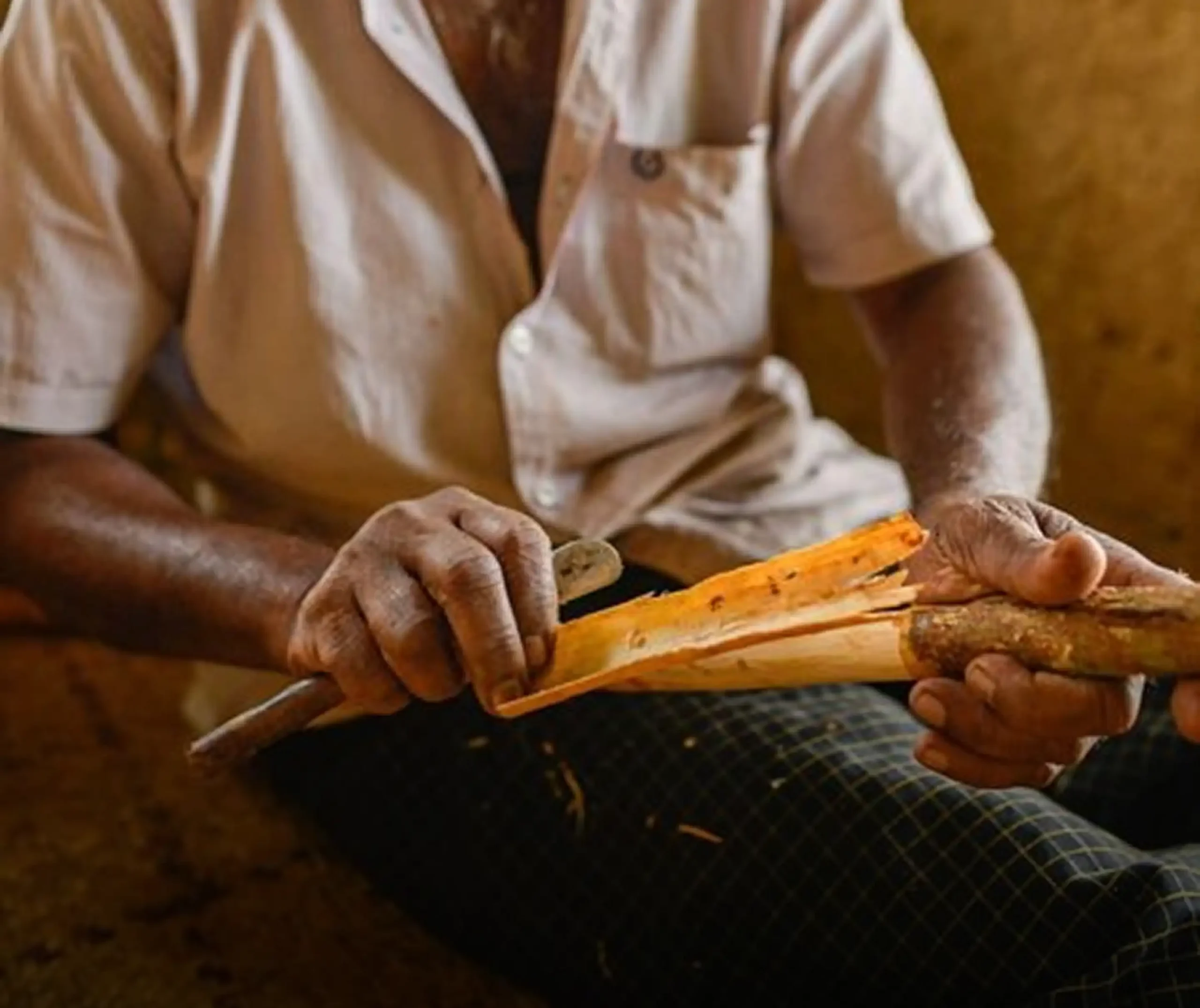 True Cinnamon from Sri Lanka