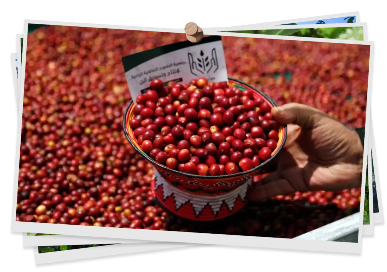 Internal_product_image