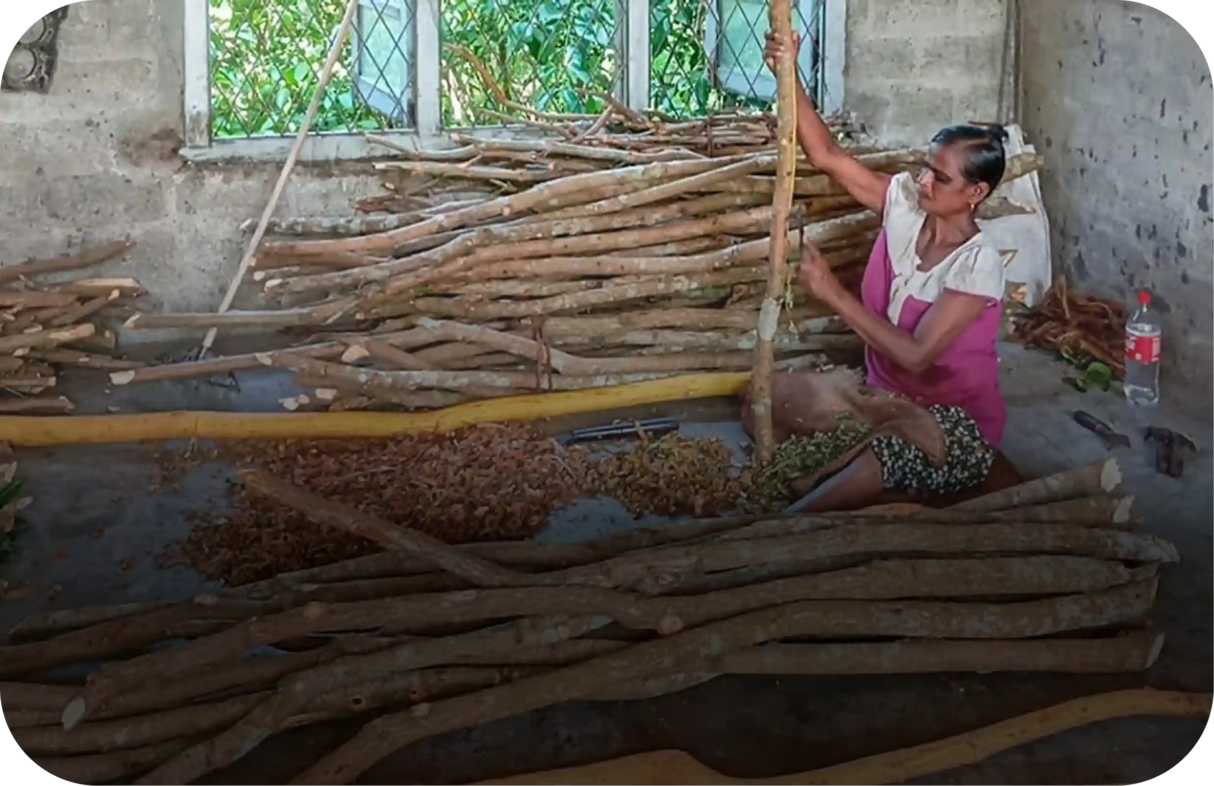 cinnamon Manufacturing