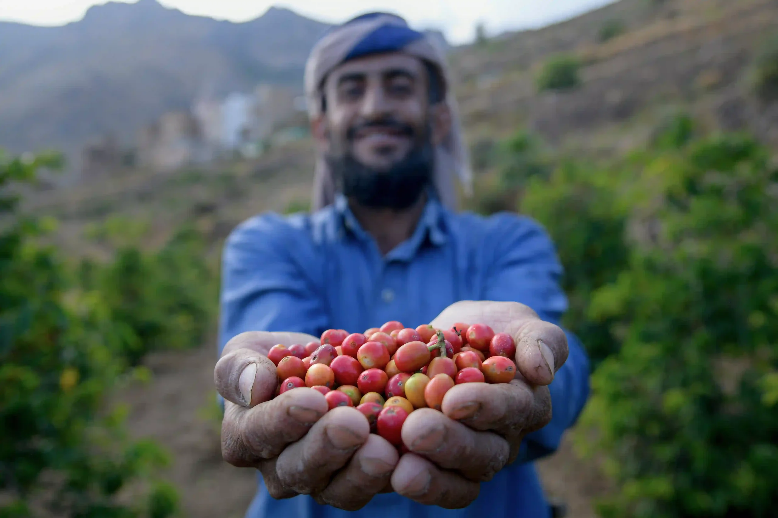 HIGH-ALTITUDE UDAINI  VARIETAL