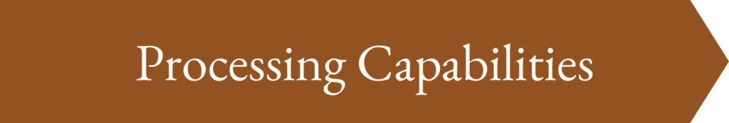 processing capabilities