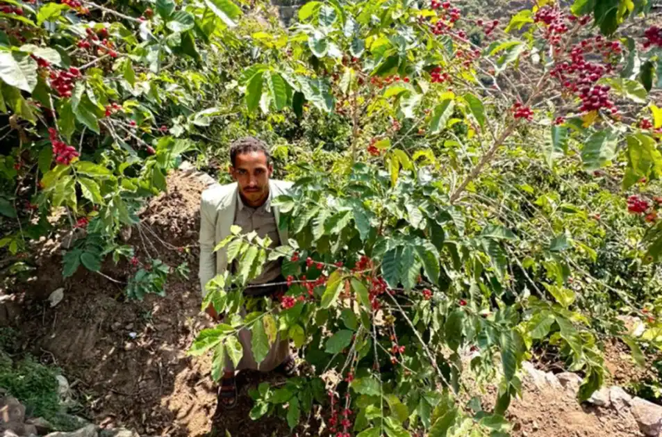 man_standing_in_forest