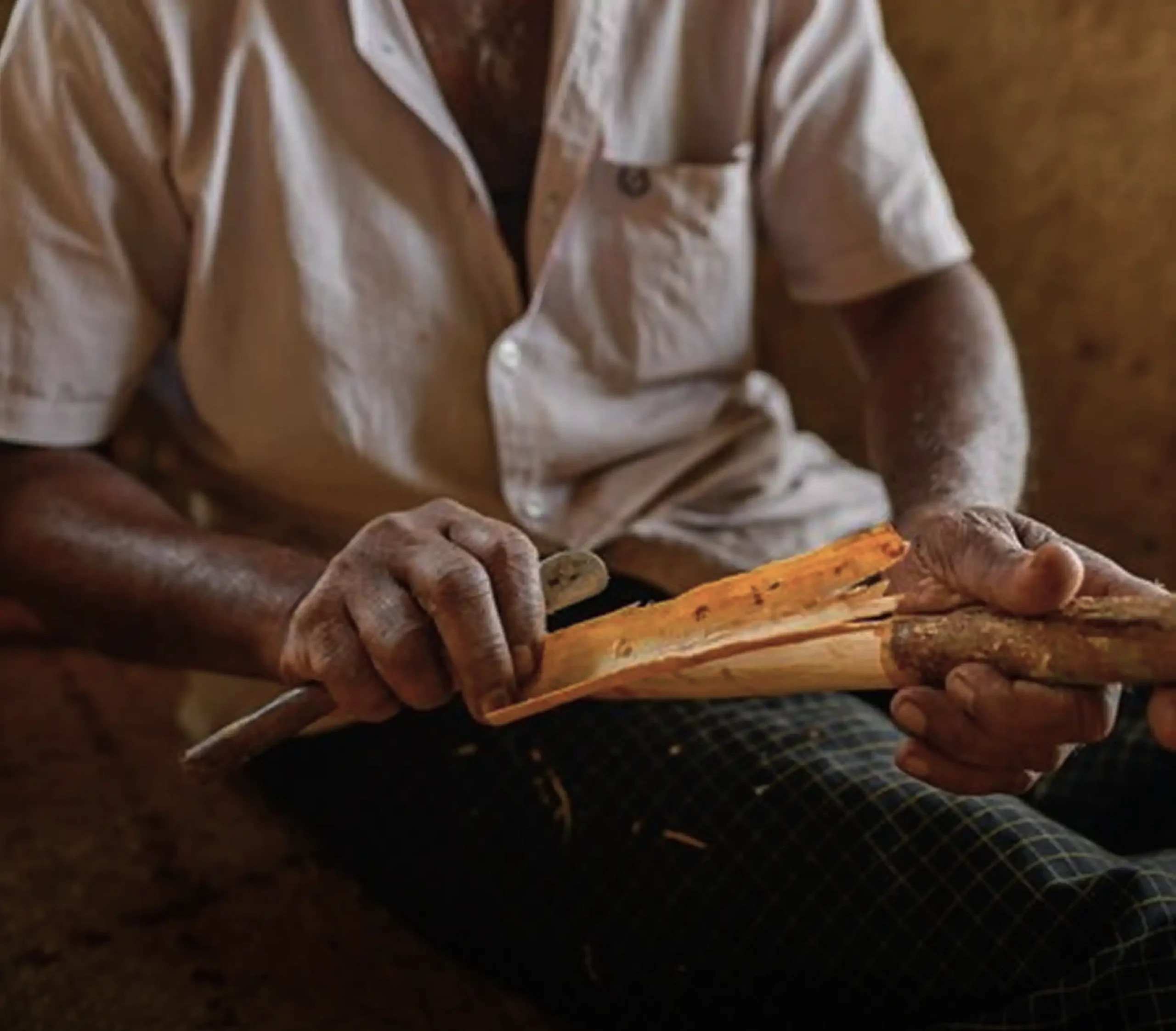 True Cinnamon from Sri Lanka